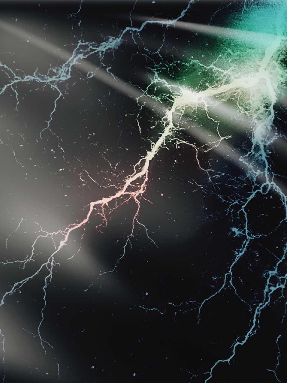 第2回NSS   売れないカメラマン