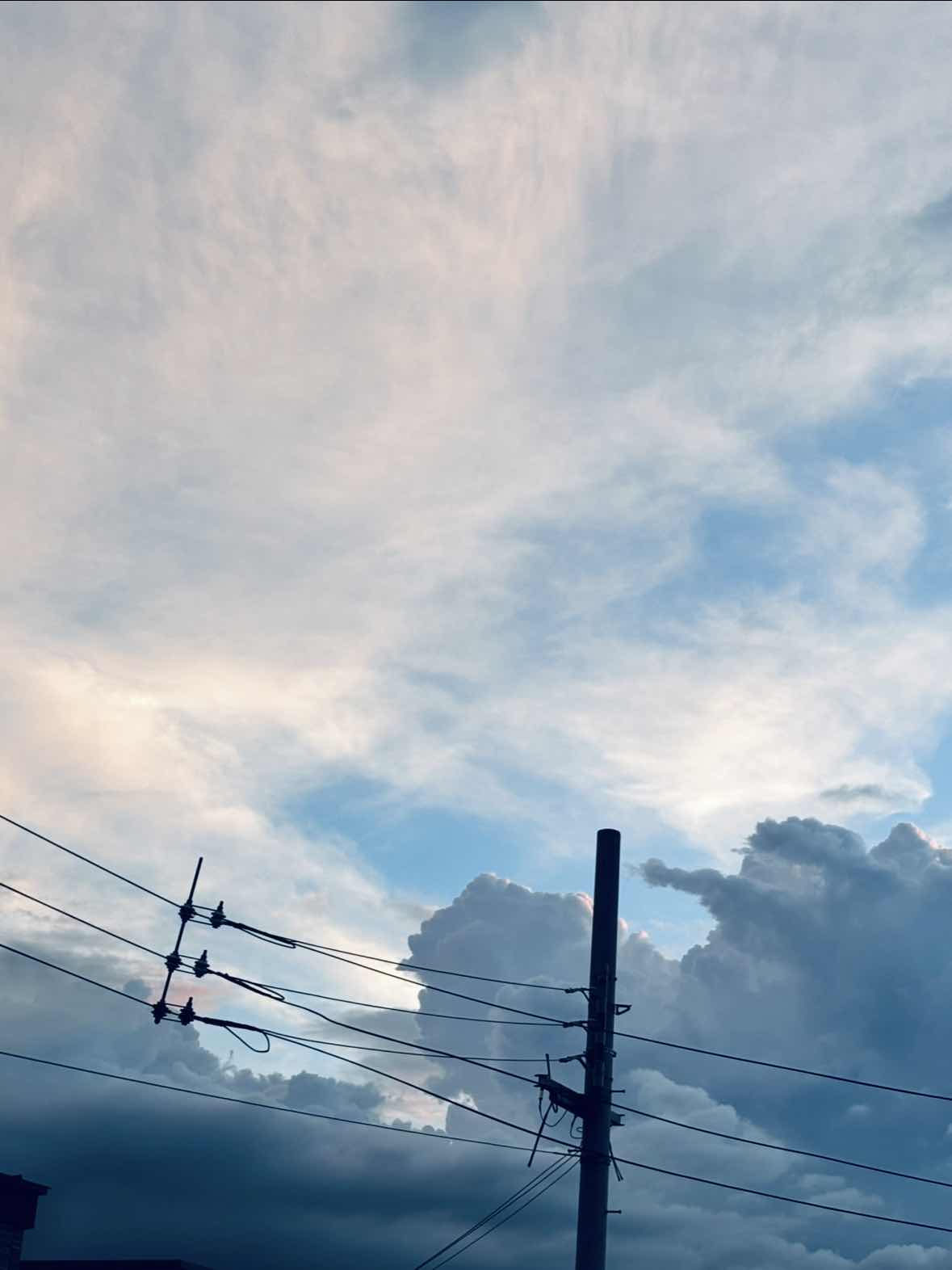 第三回　自己紹介‼︎