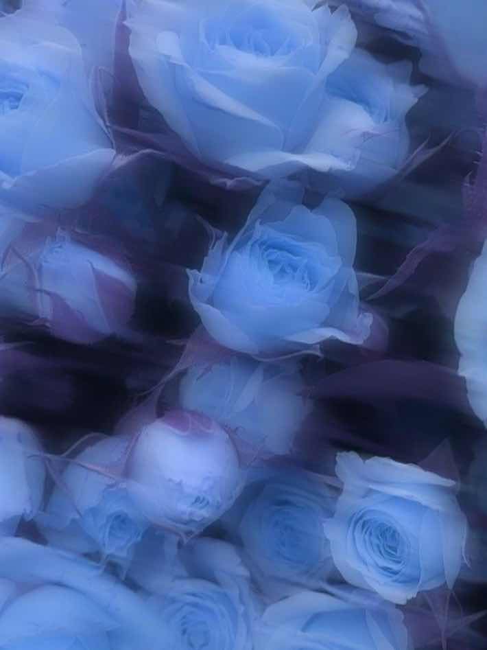 信頼≠二人で一人