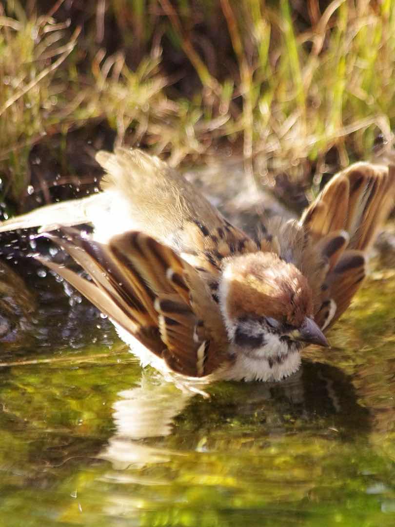 ひとり、ごと闘病日記②