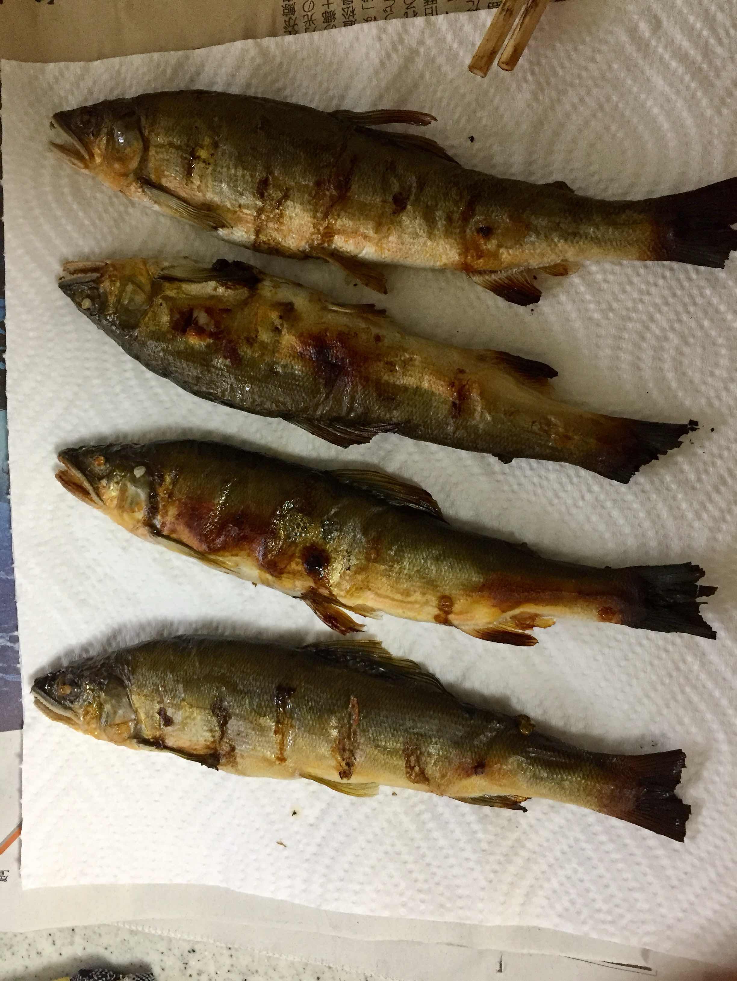 突発的妄想劇場　第三夜