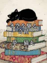 冬空を駆る奇蹟