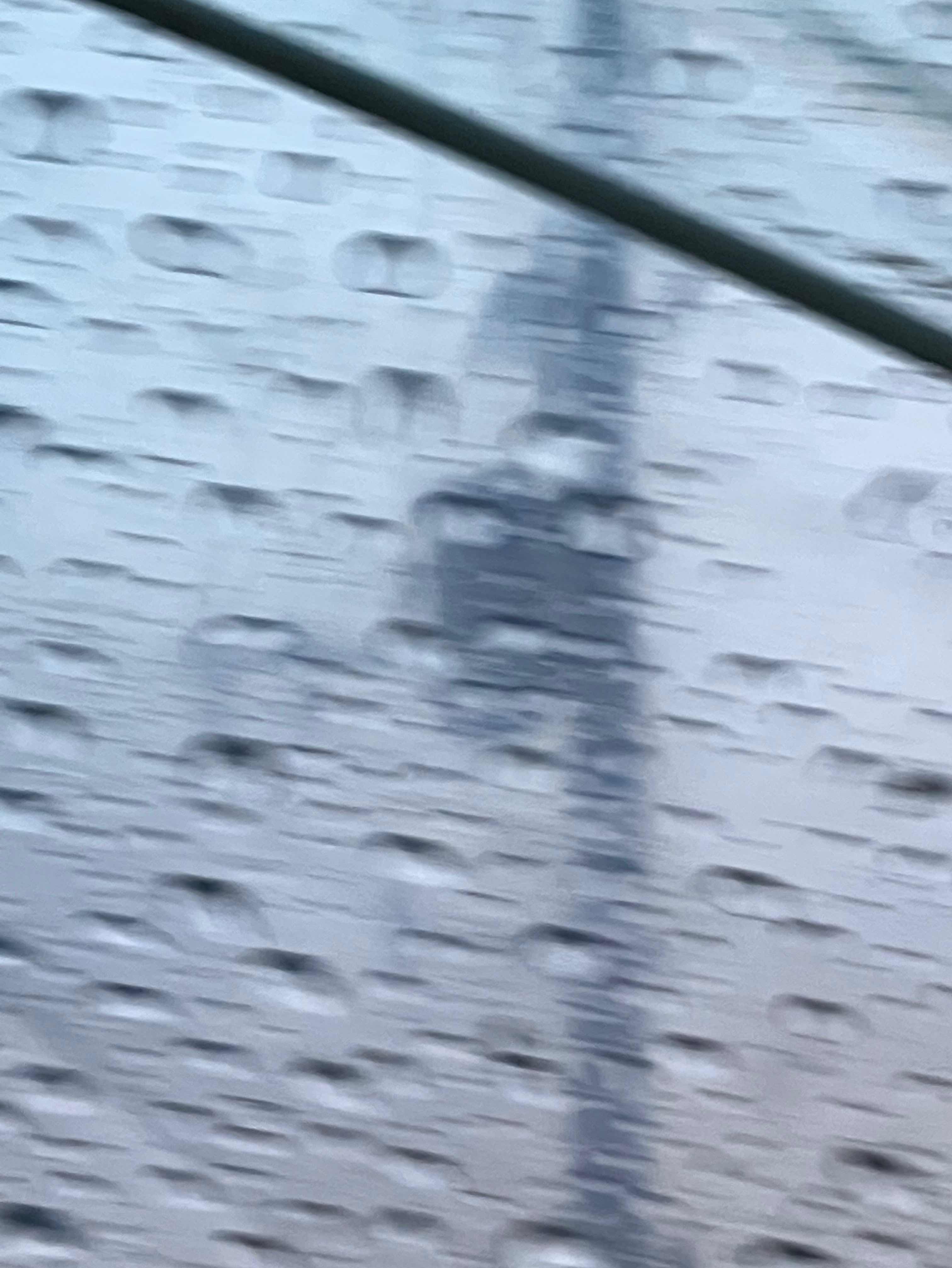 恋したクラゲの末路には。