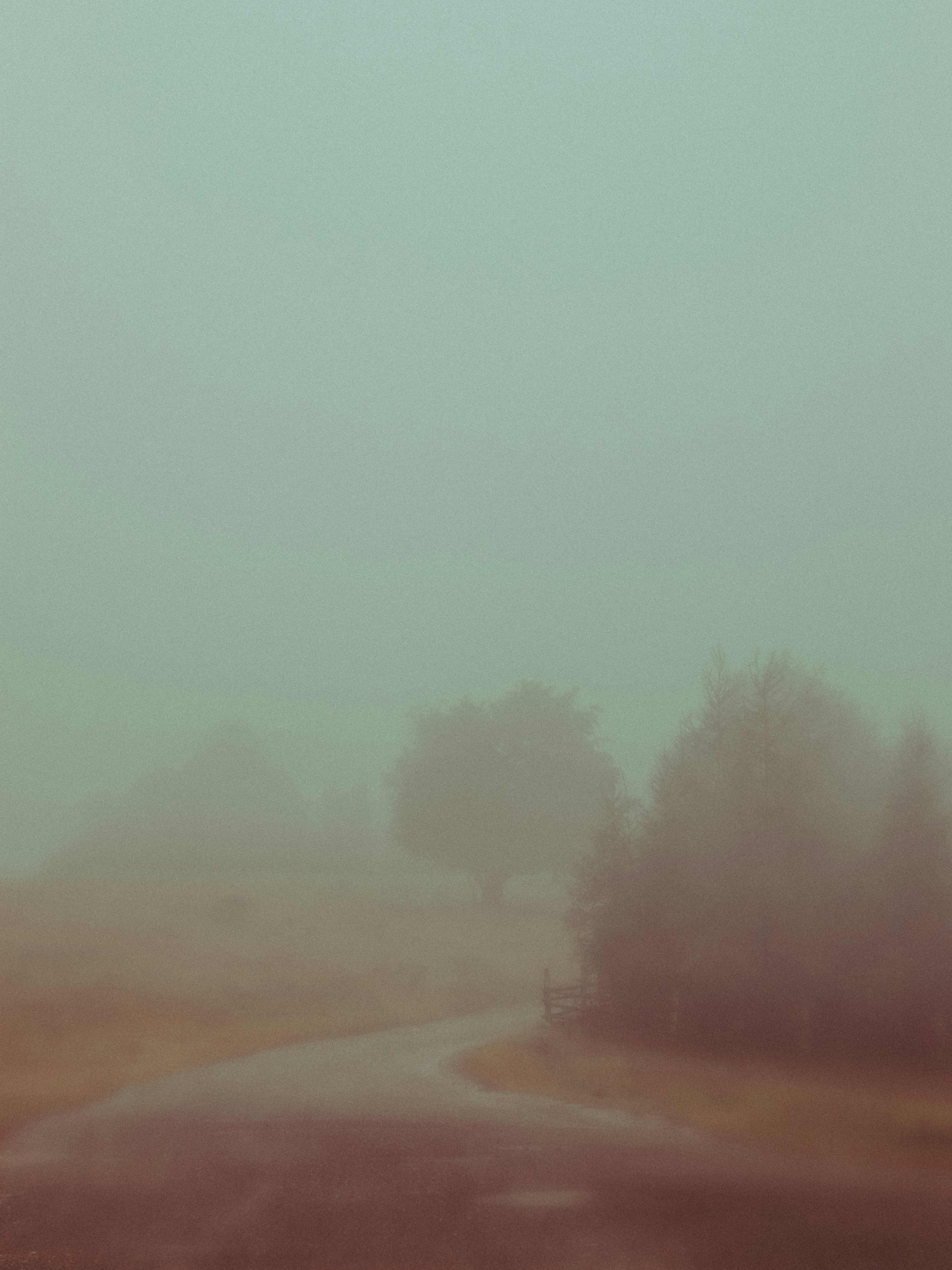 あっちにいけよ。