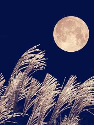 真夜中の太陽。