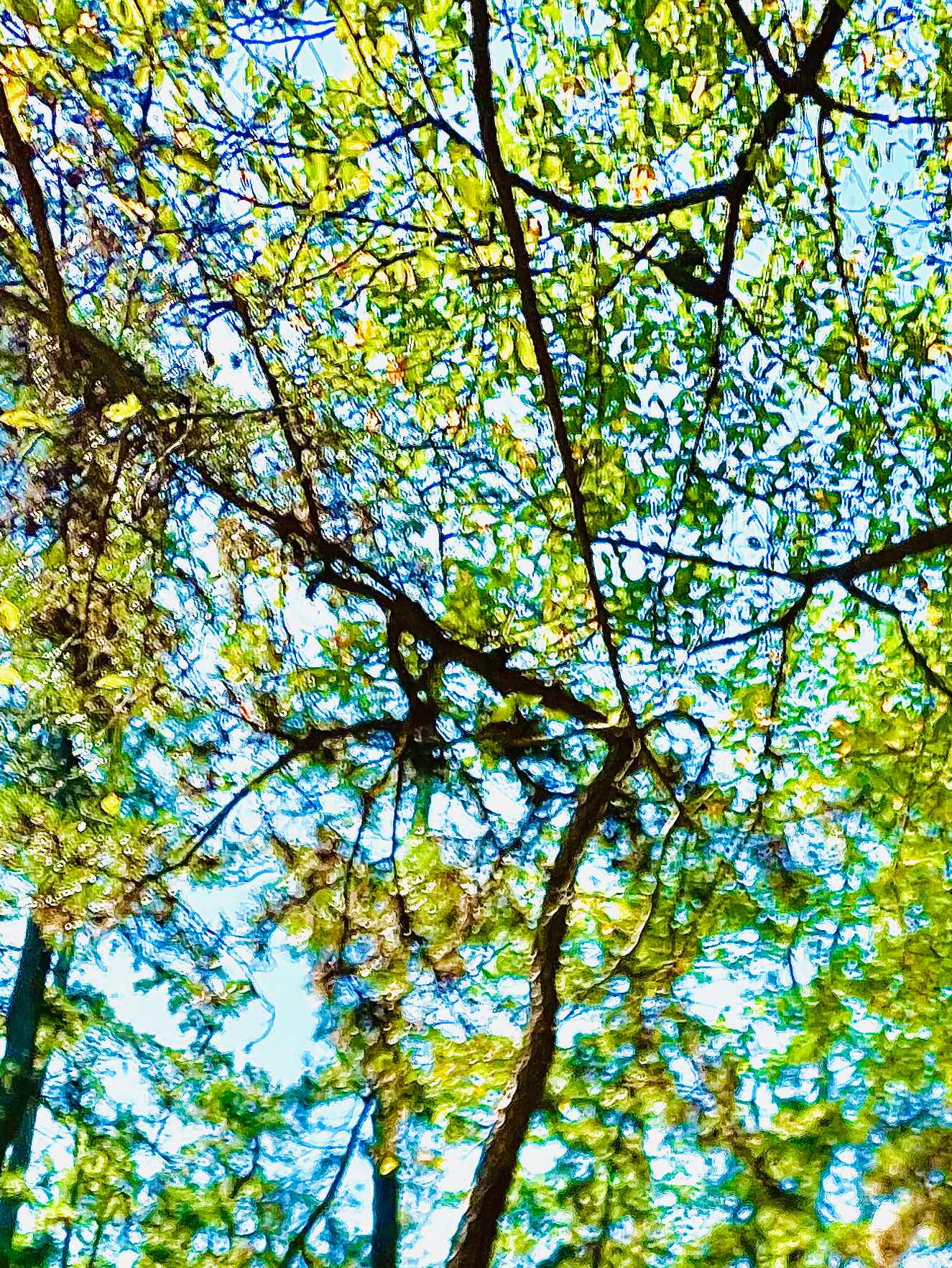 演目『いじめ』