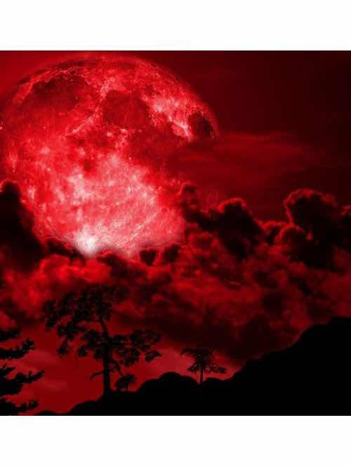 月の裏で逢おうよ