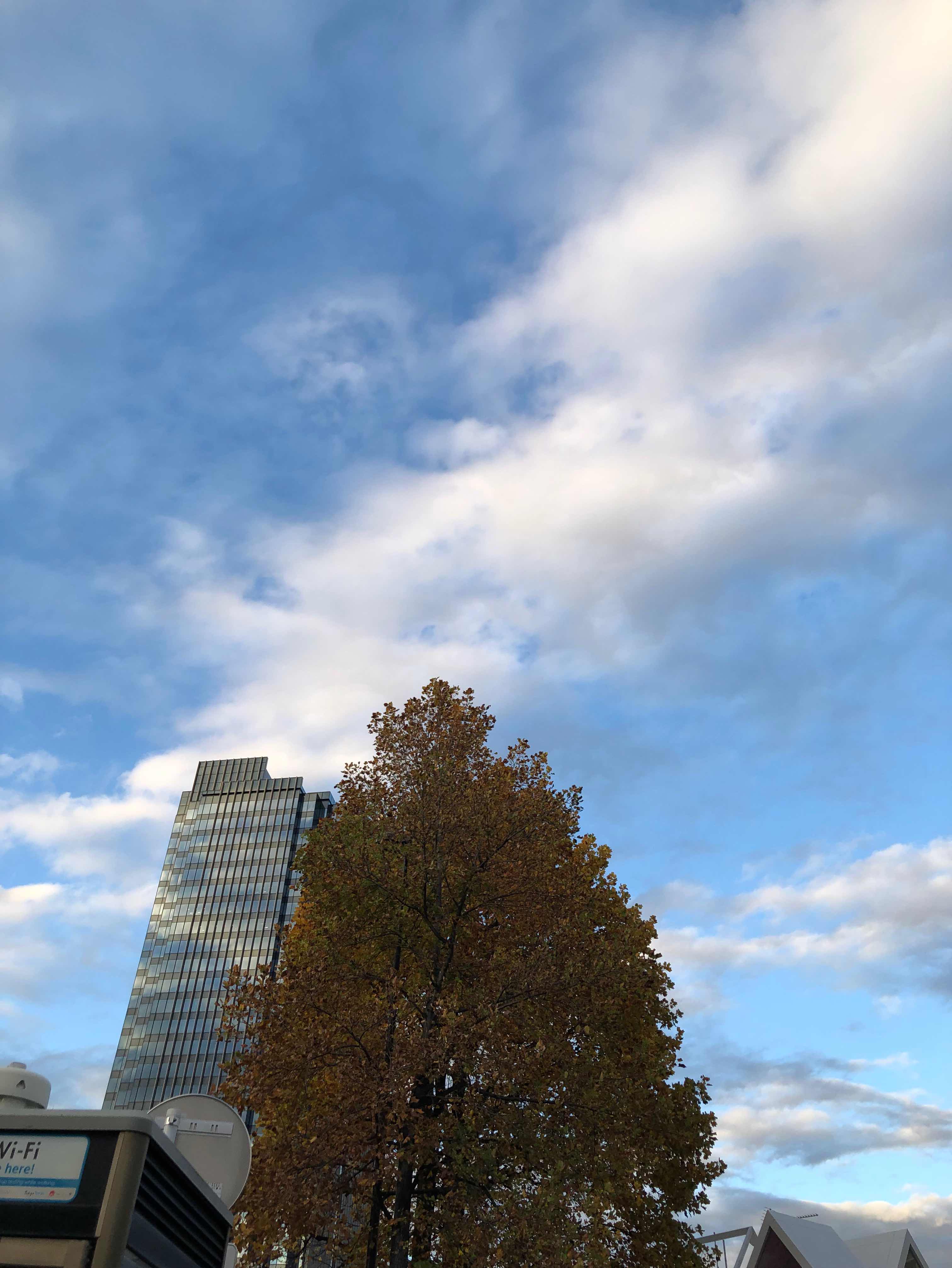 グッドラック　アンド　グッバイ