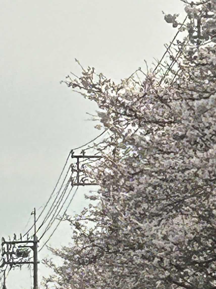 花も枯れる頃に