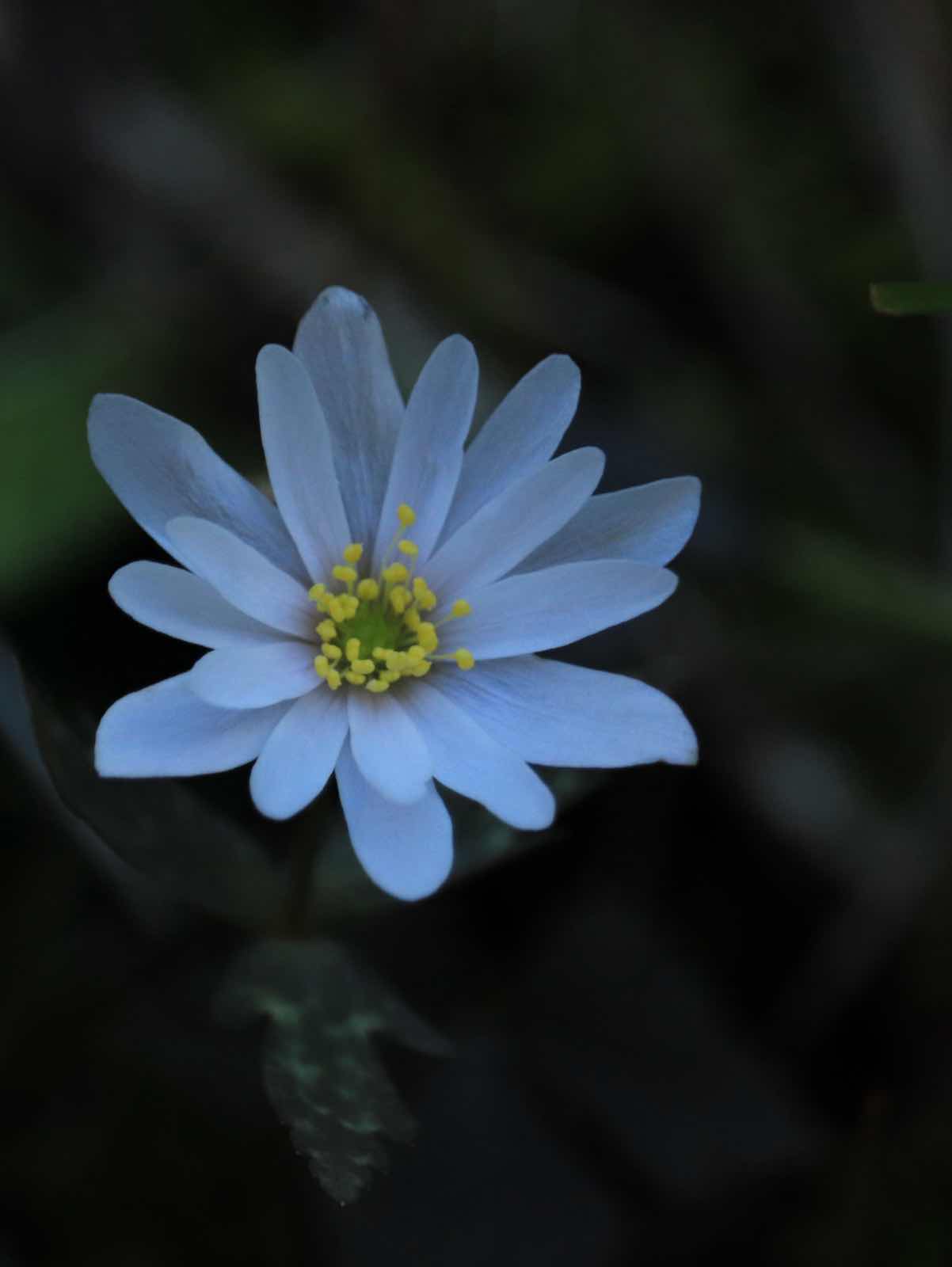 あなたの名前を呼びたい。III