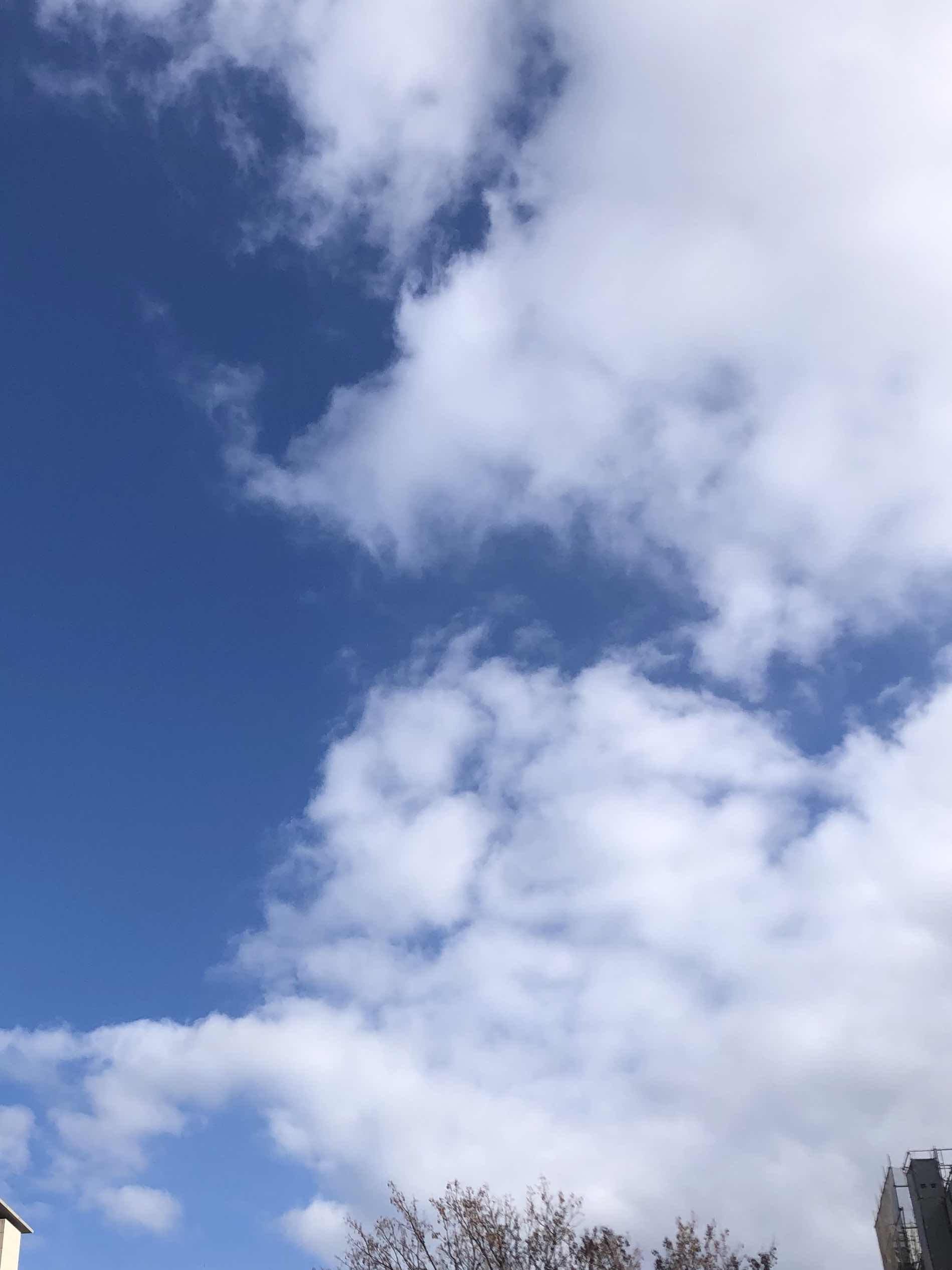 好きな人とは？