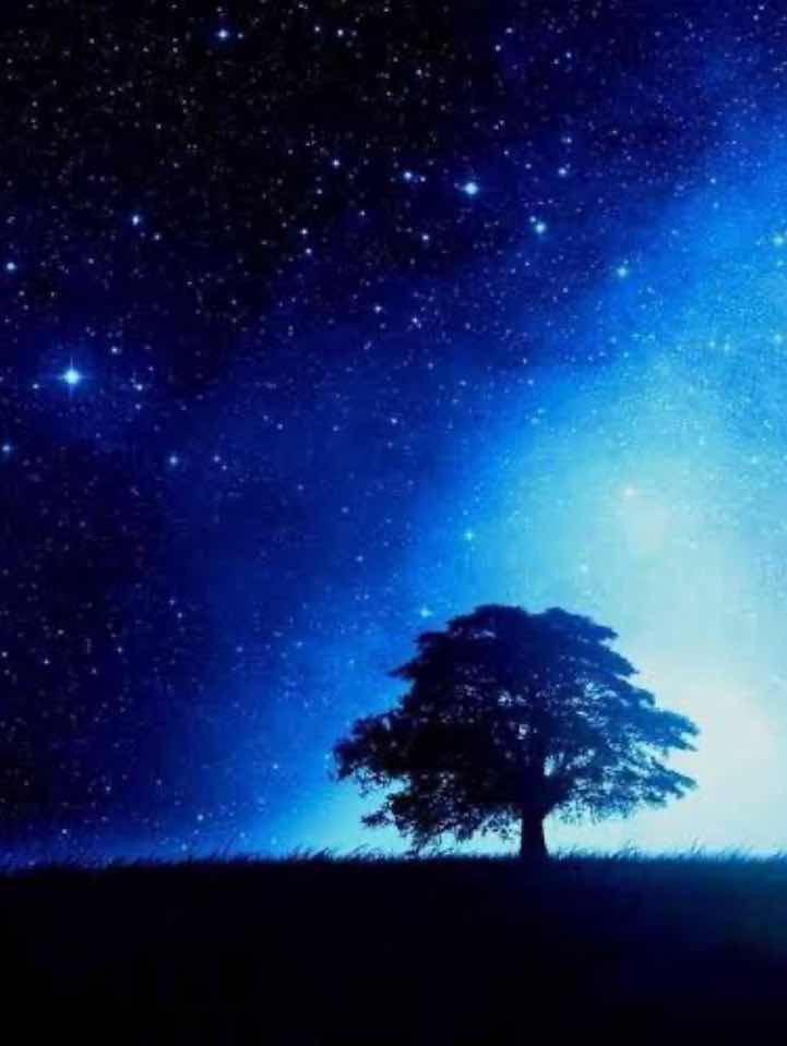 入らなきゃ良かった