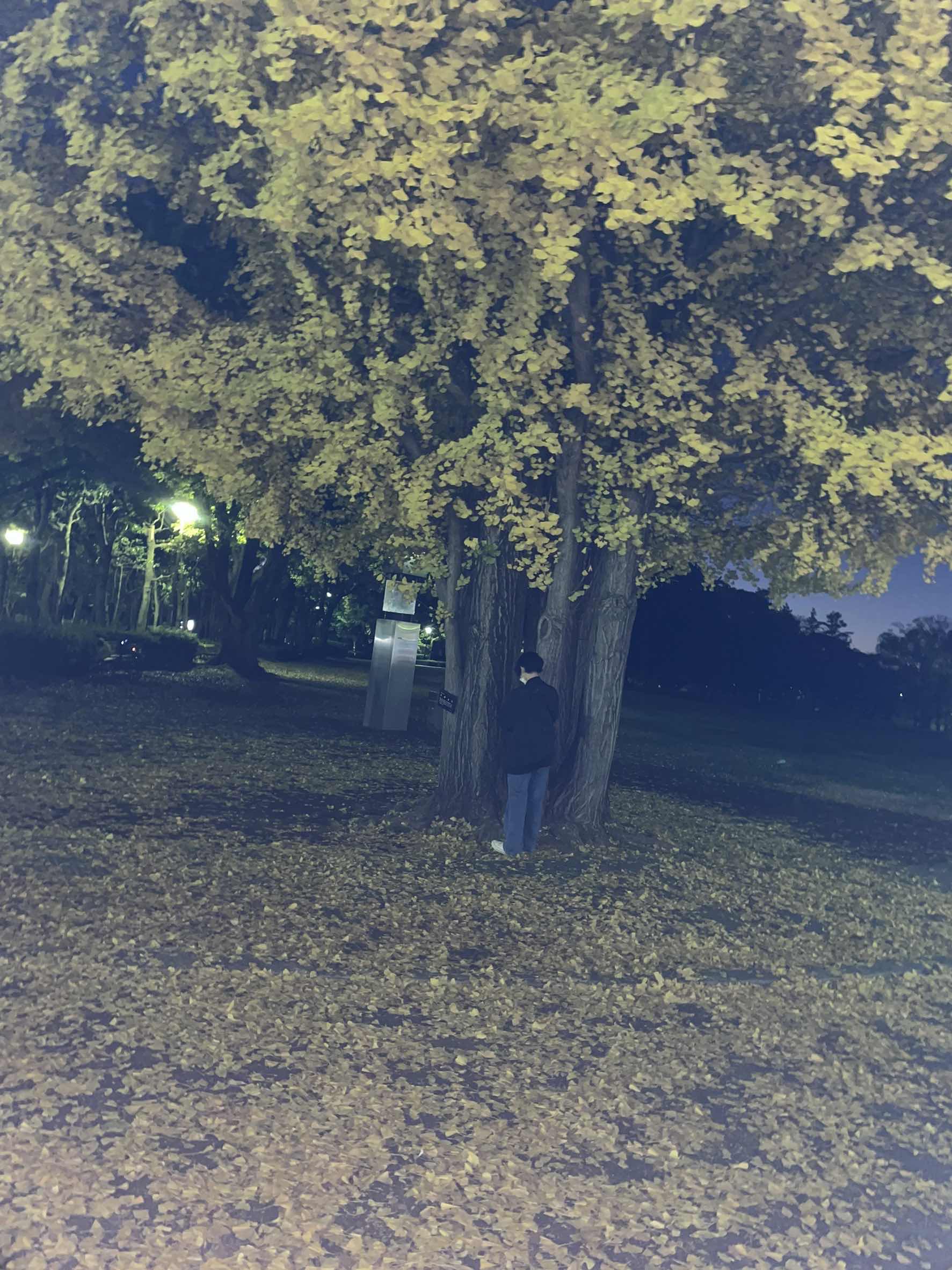 負け犬の遠吠え