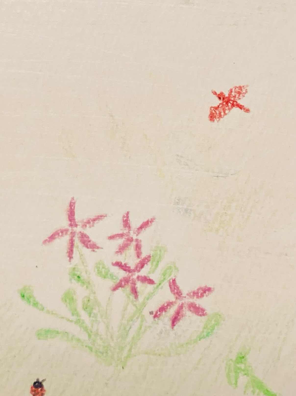 第3回NSS         Ｐ ｉ ａ