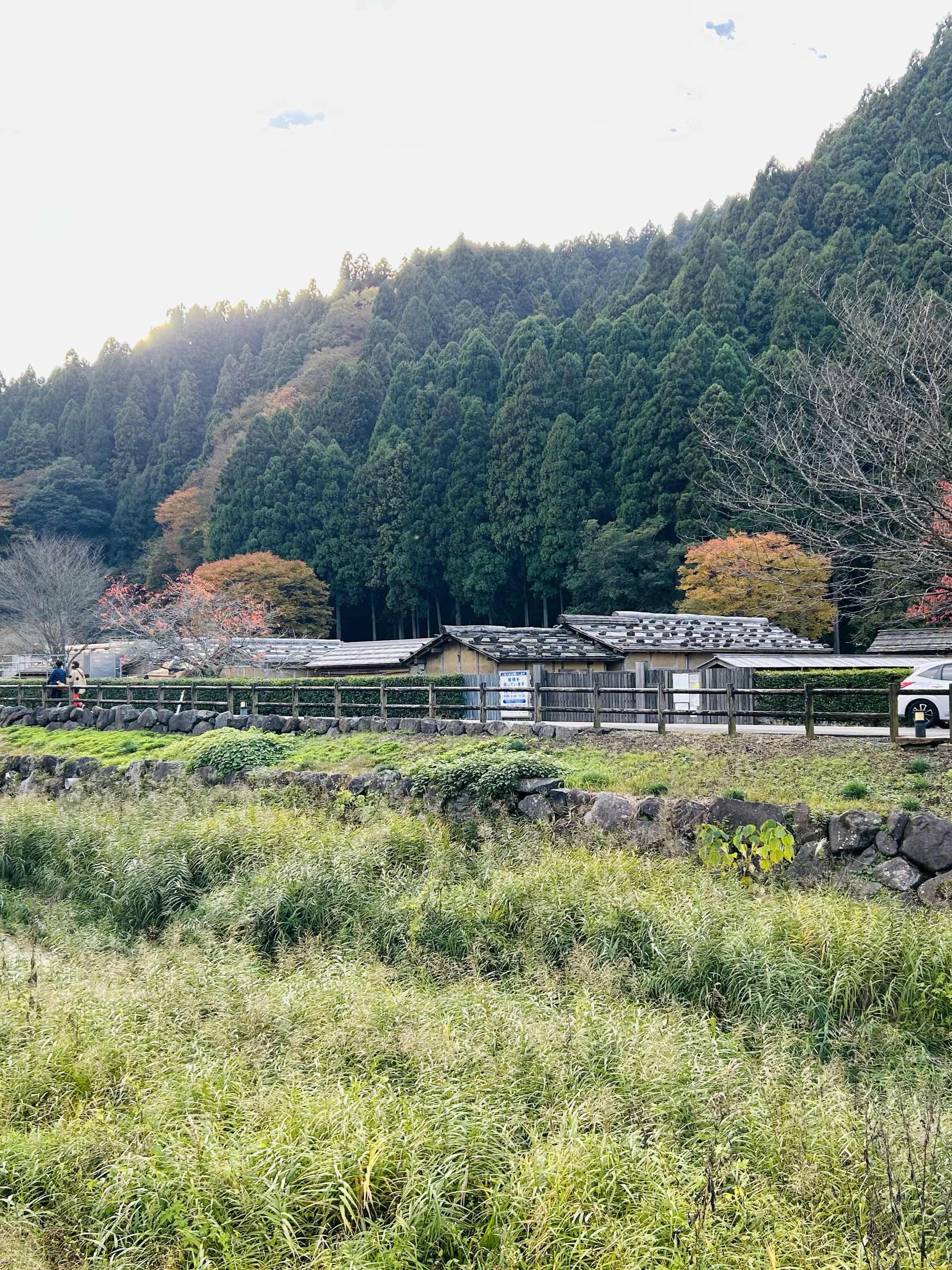 天使のような悪魔のような、天然のような貴方