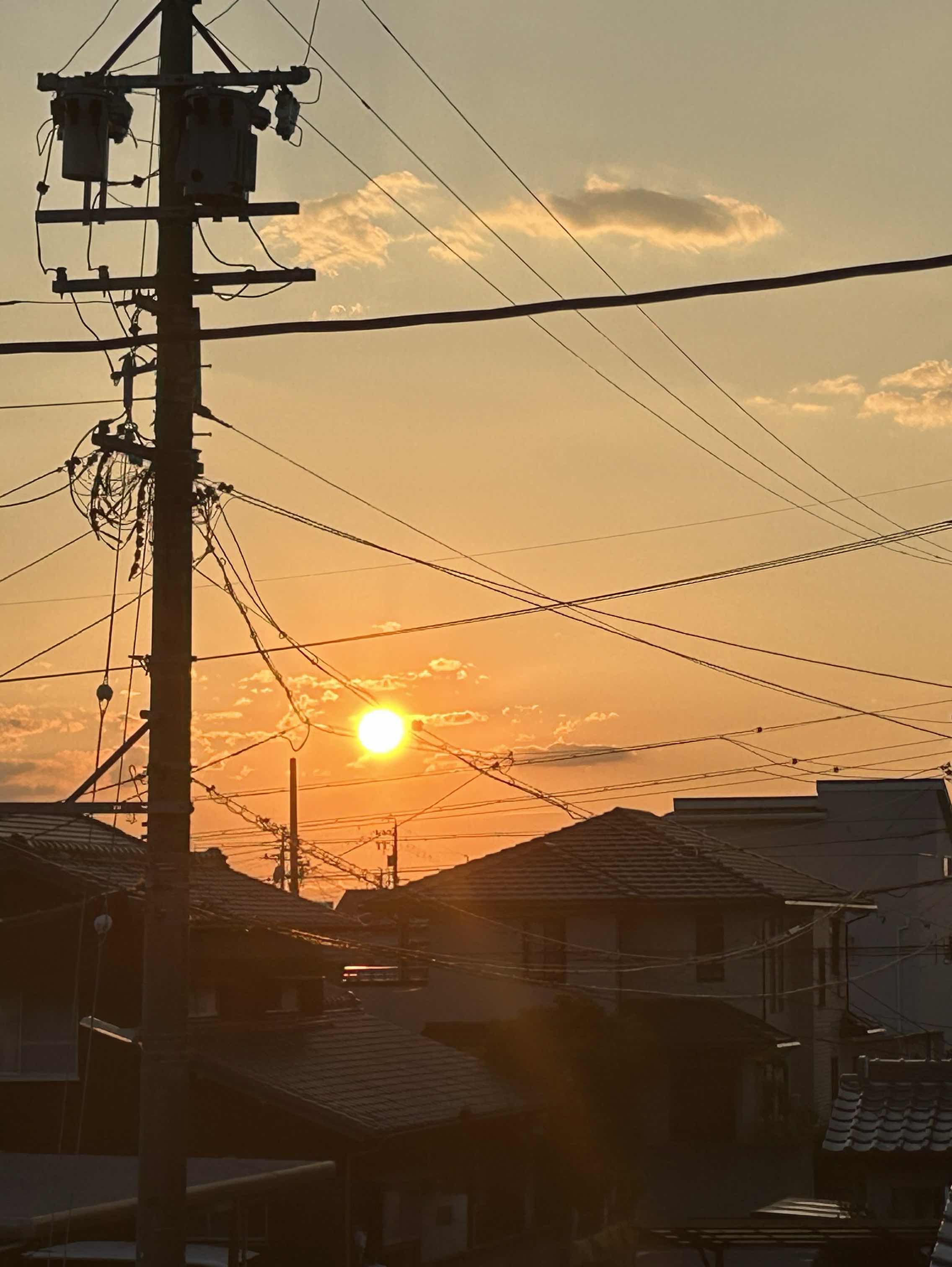 白日ではないから