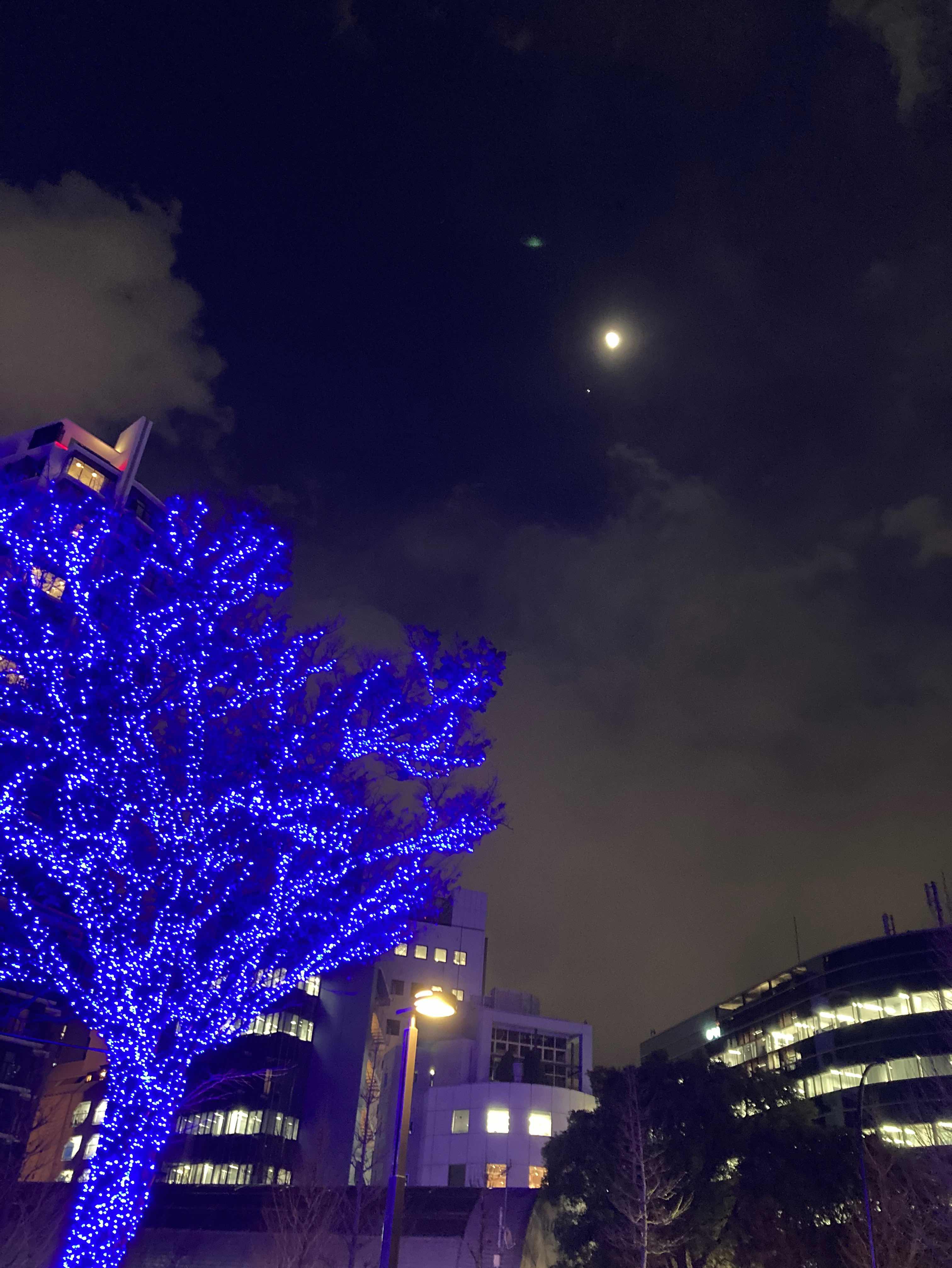 ごめんなさい 自信とかコメントで下さい