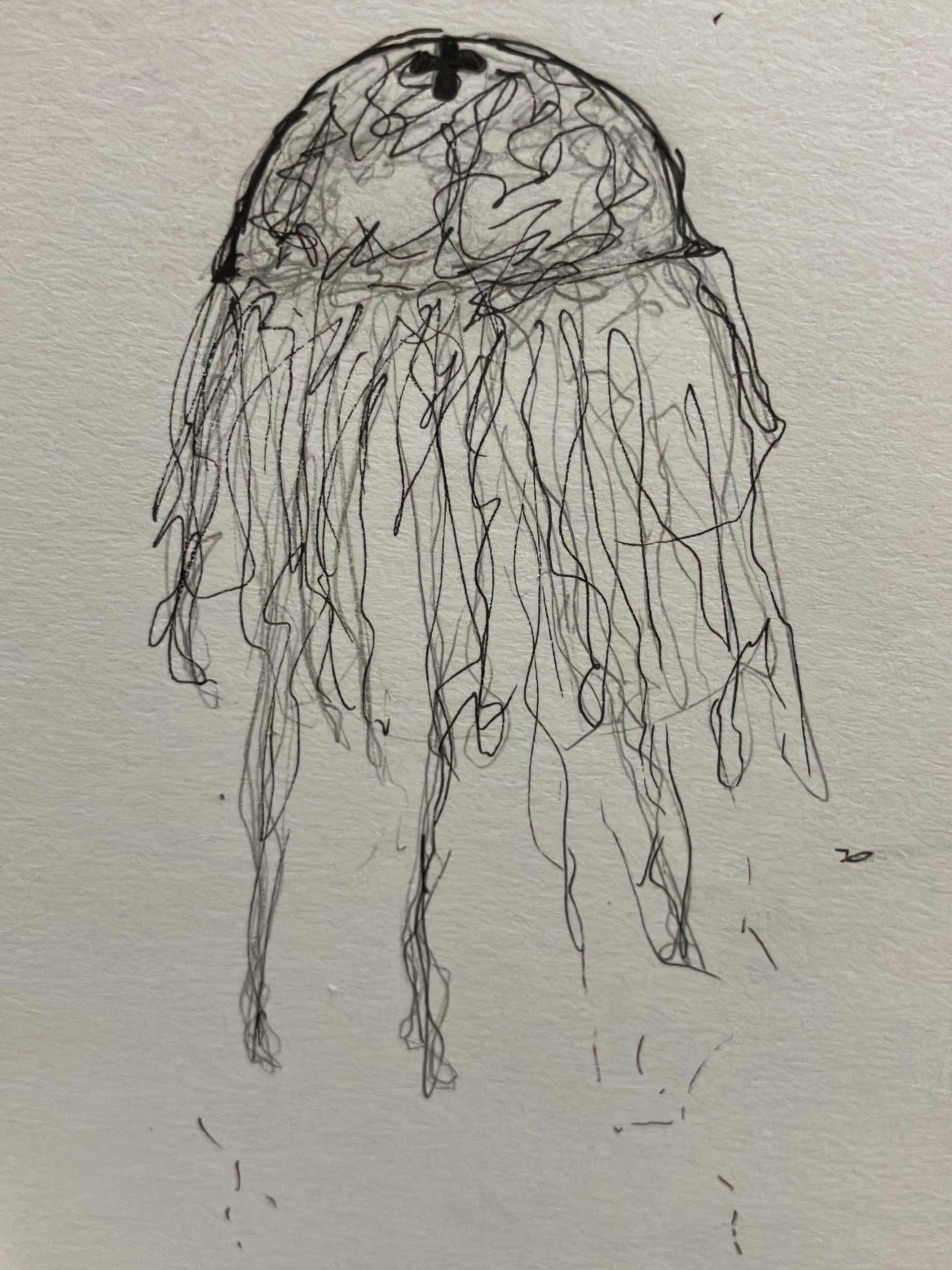 透き通った明かり