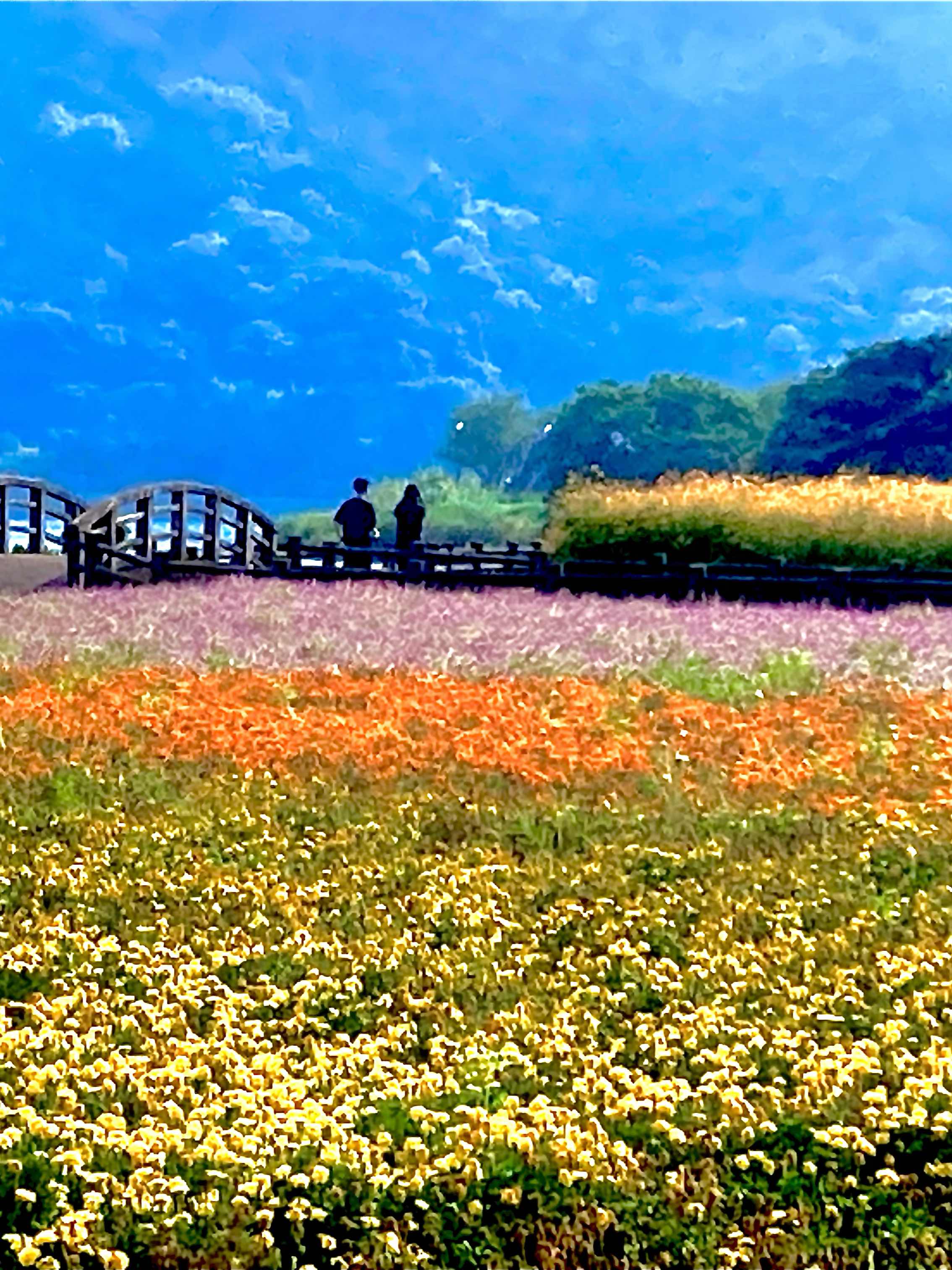 君と僕の関係値