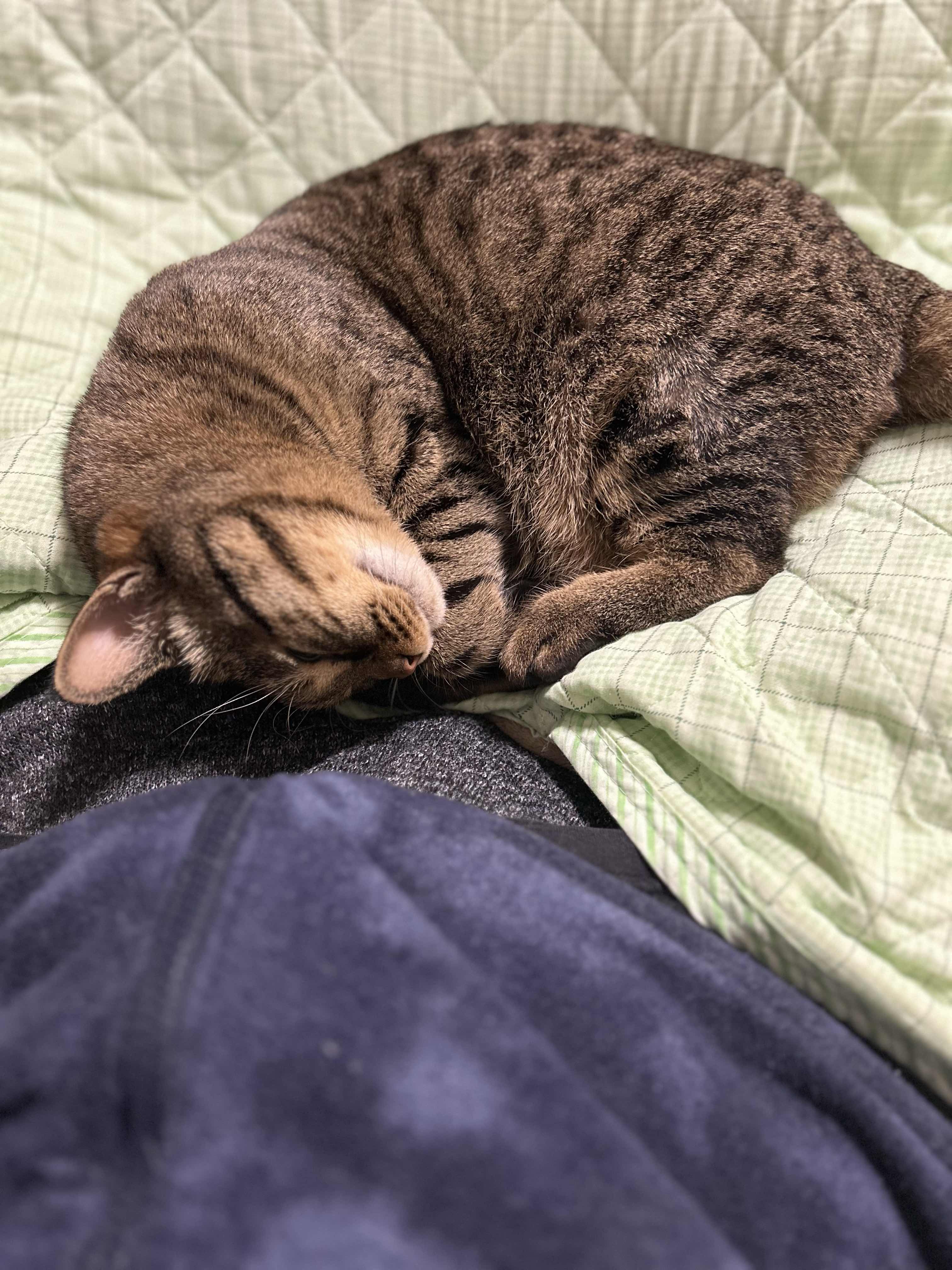 私がペットボトルを捨てるまで