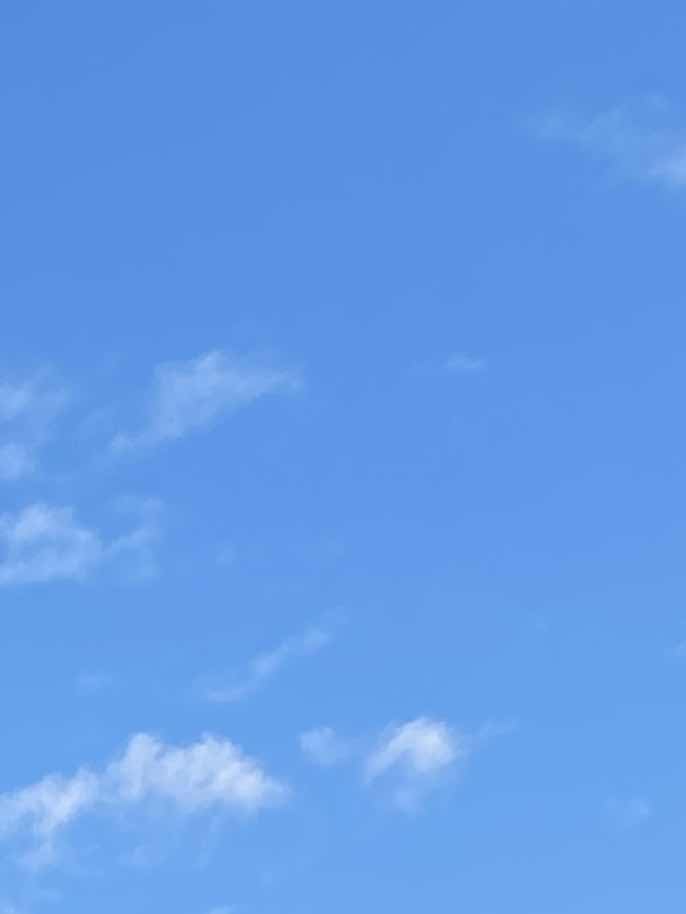 お母さんへ         読書感想文