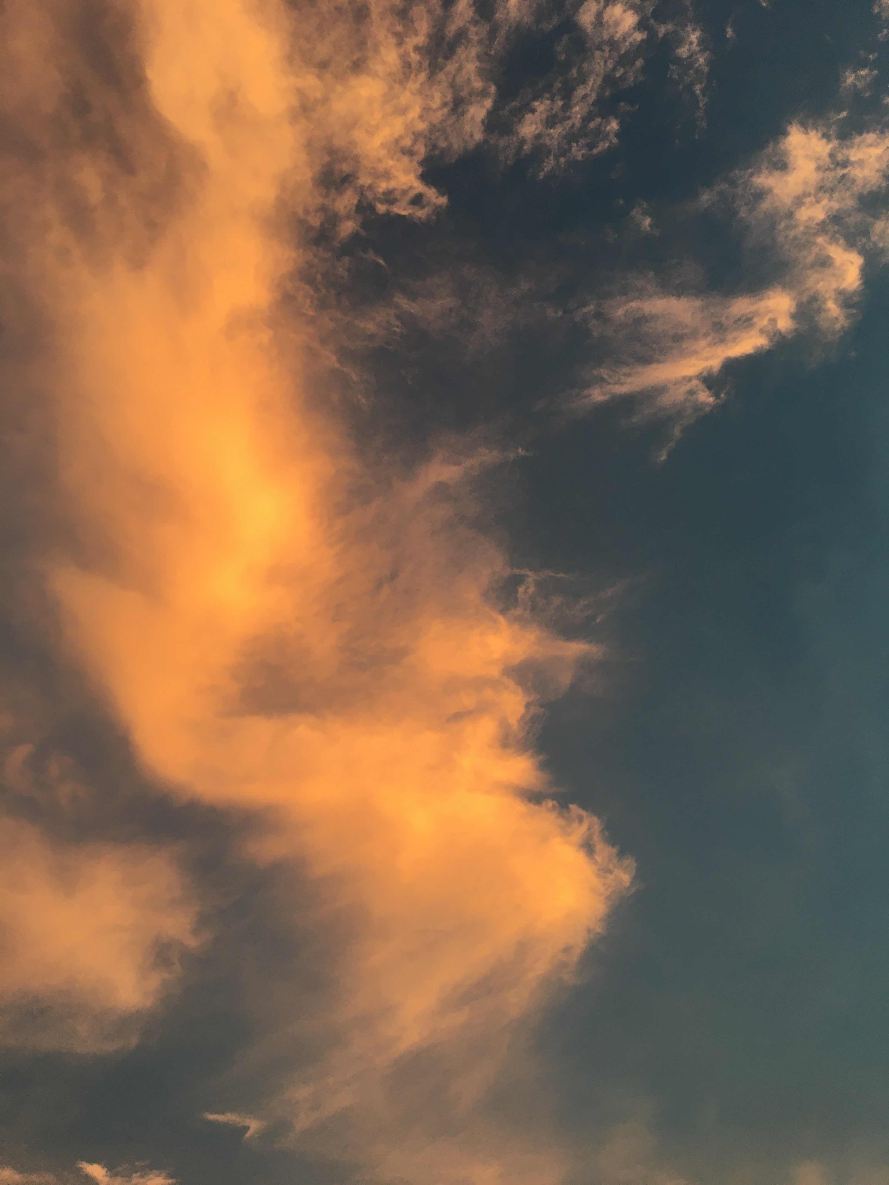 話にならないキャンプ