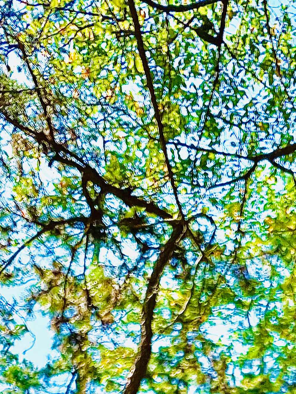 演目『いじめ』