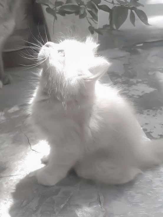 捻くれ者でいい