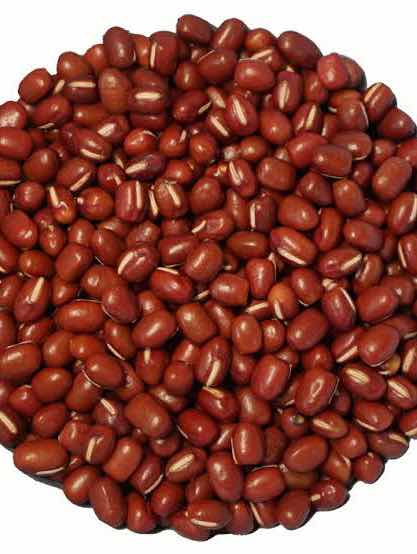 小豆洗いの音楽隊