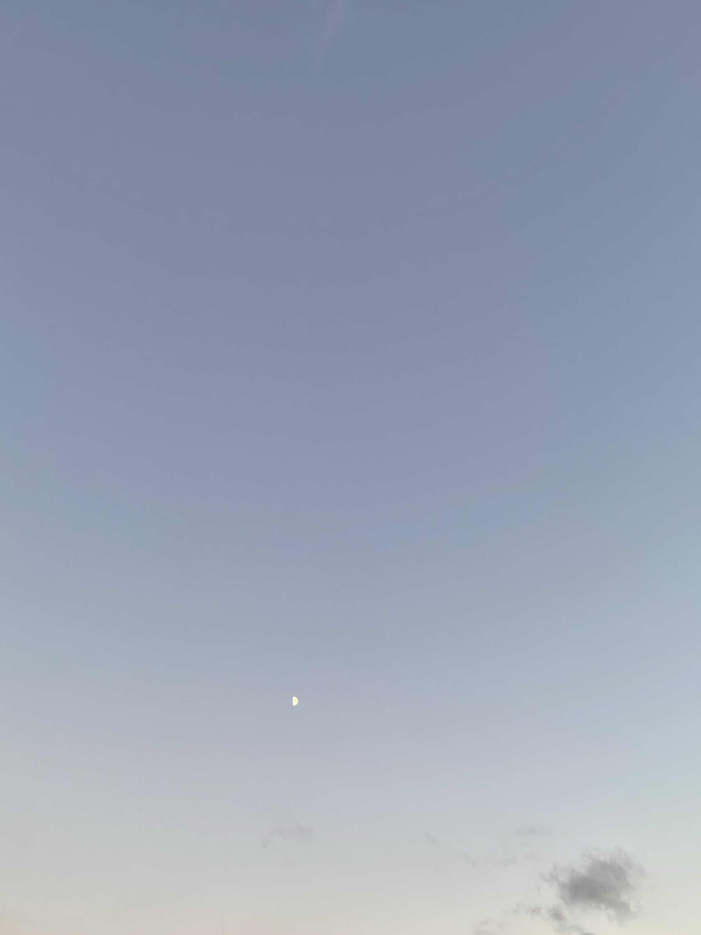 ナポリタンを食べに