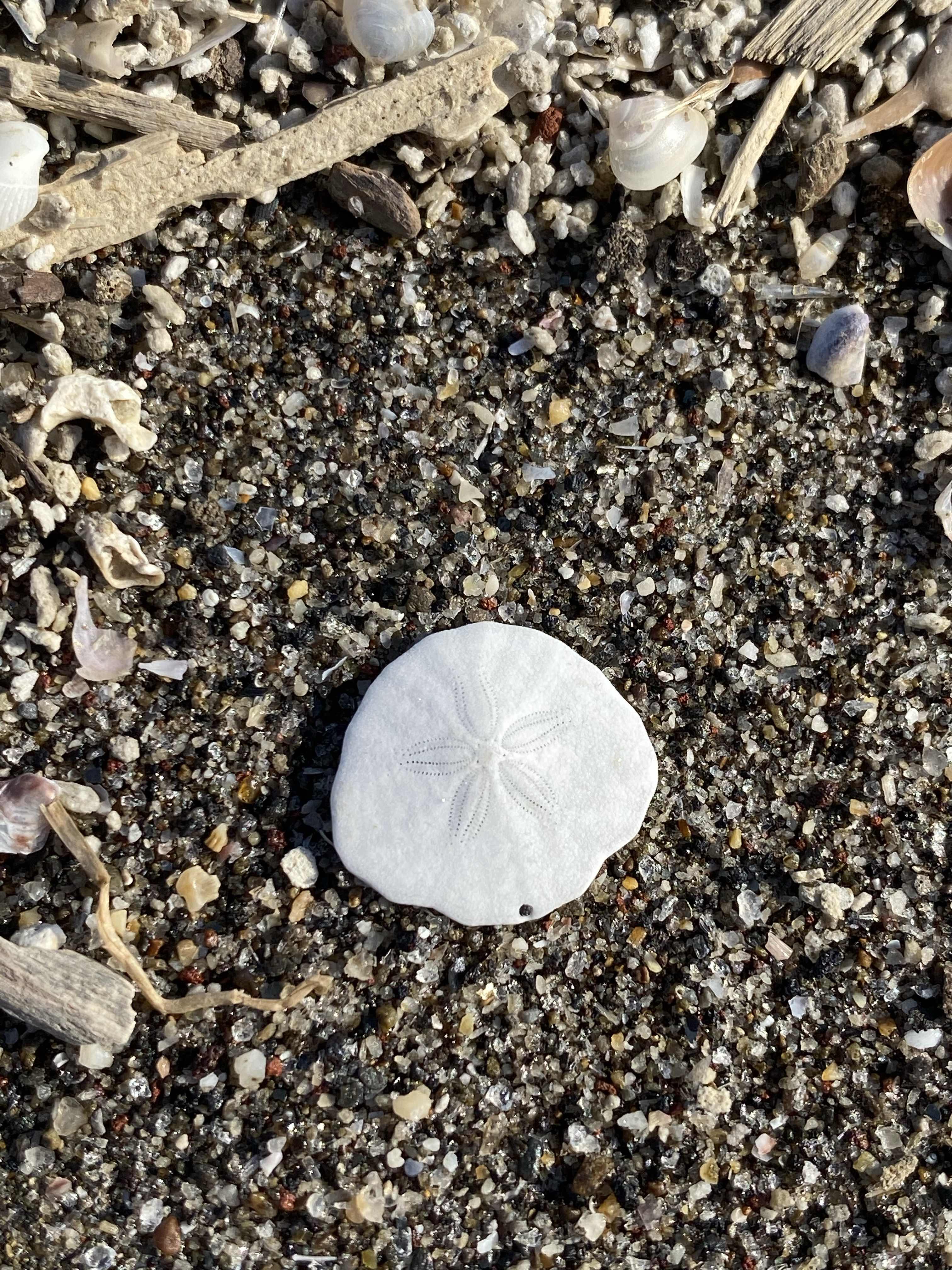 私のお話しを、ちょっとしますね①