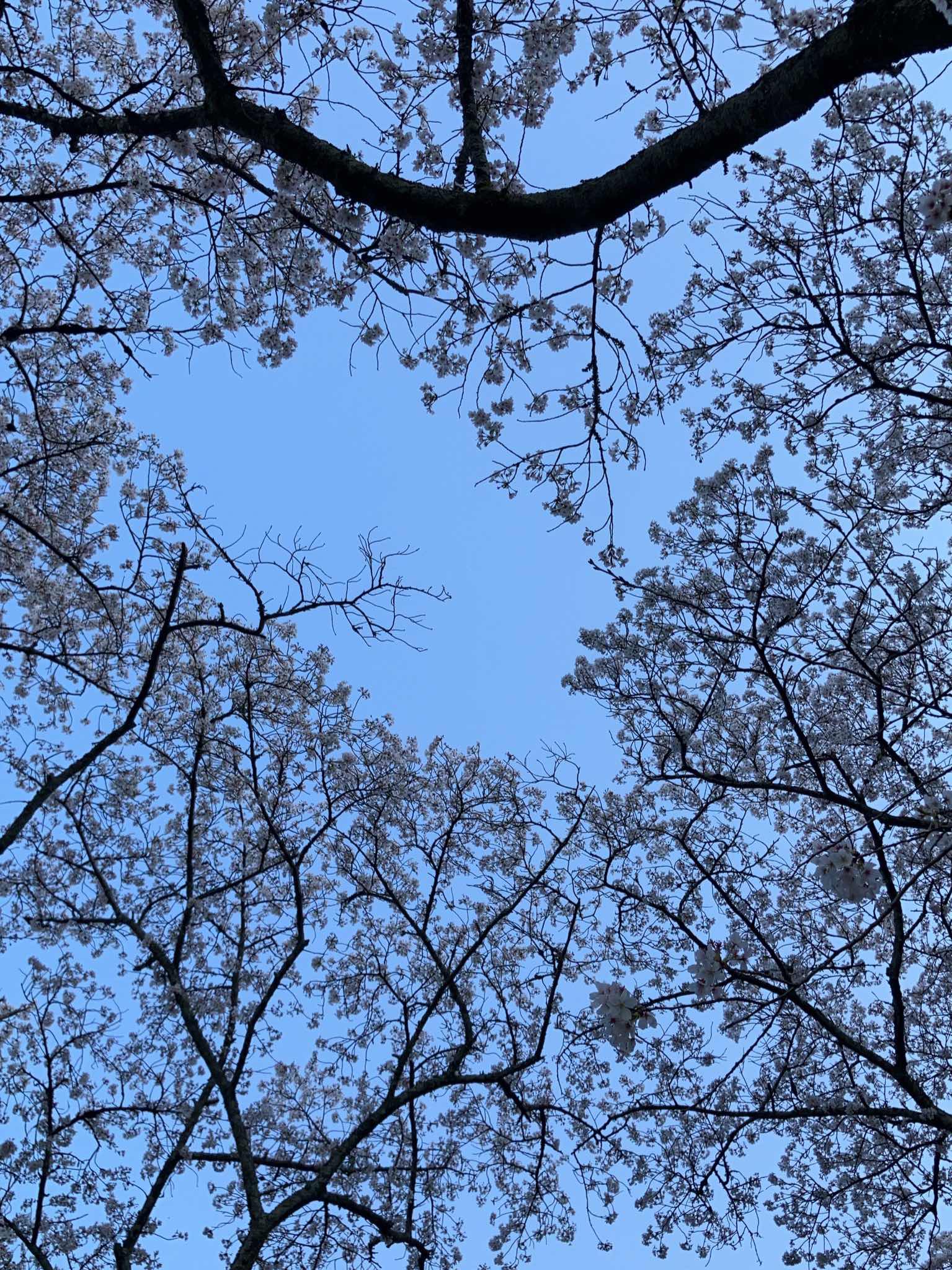 不幸な出来事