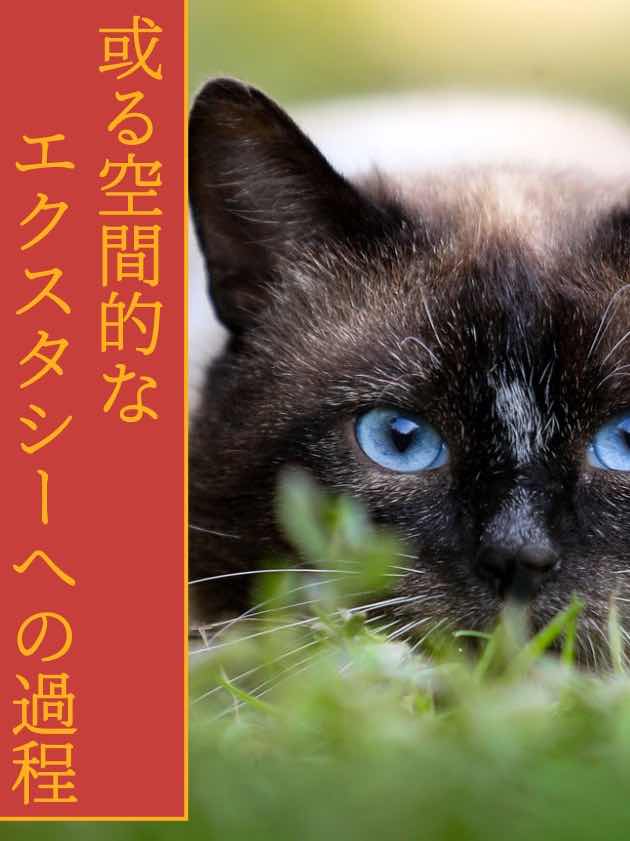 或る空間的なエクスタシーへの過程　最終話