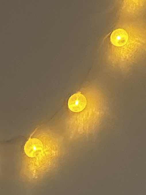 楽しくなってきた