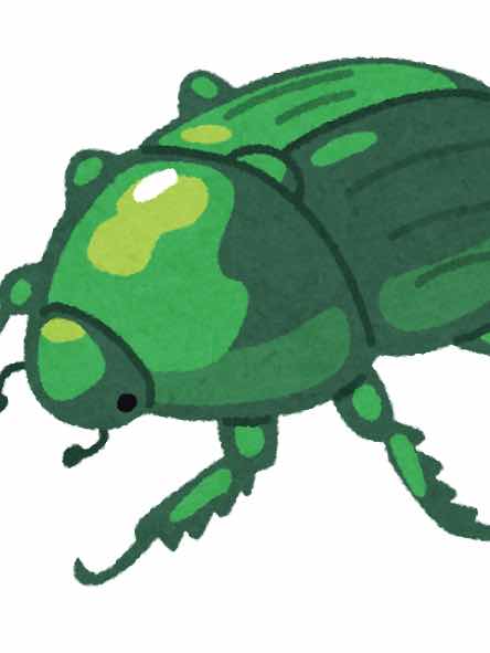 カナブン捕まえた