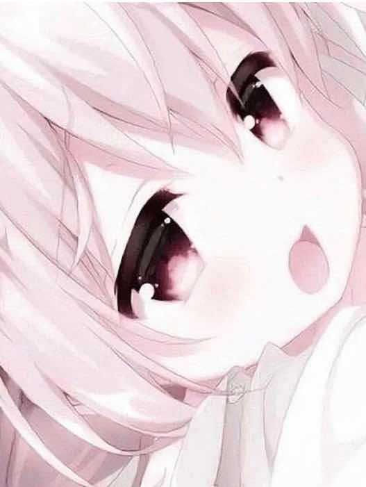 余命3ヶ月の彼女