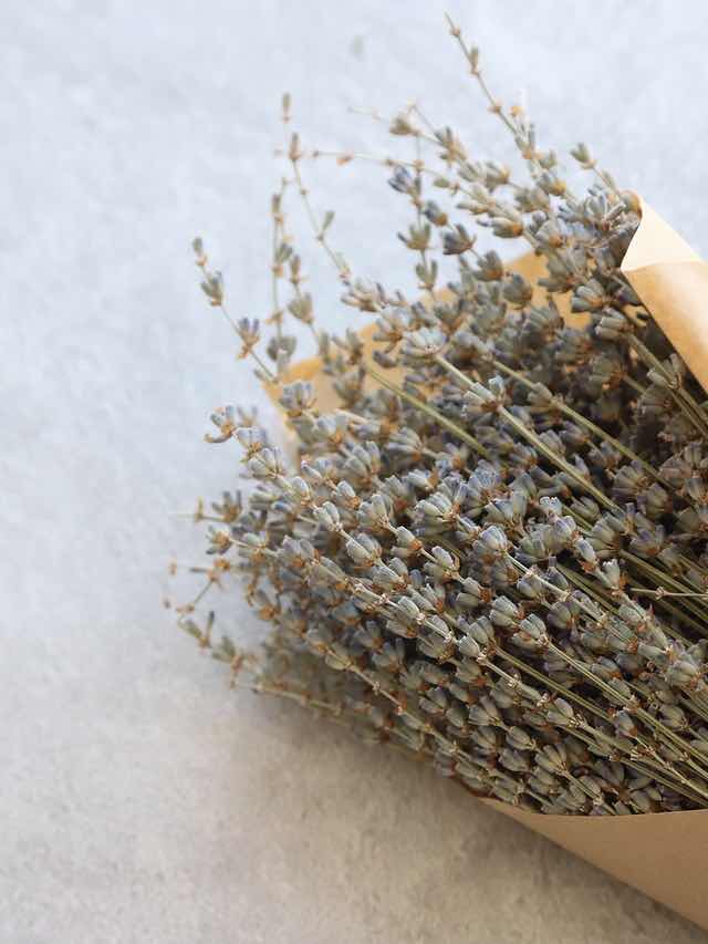 ドライフラワーの恋𑁍𓏸𓈒