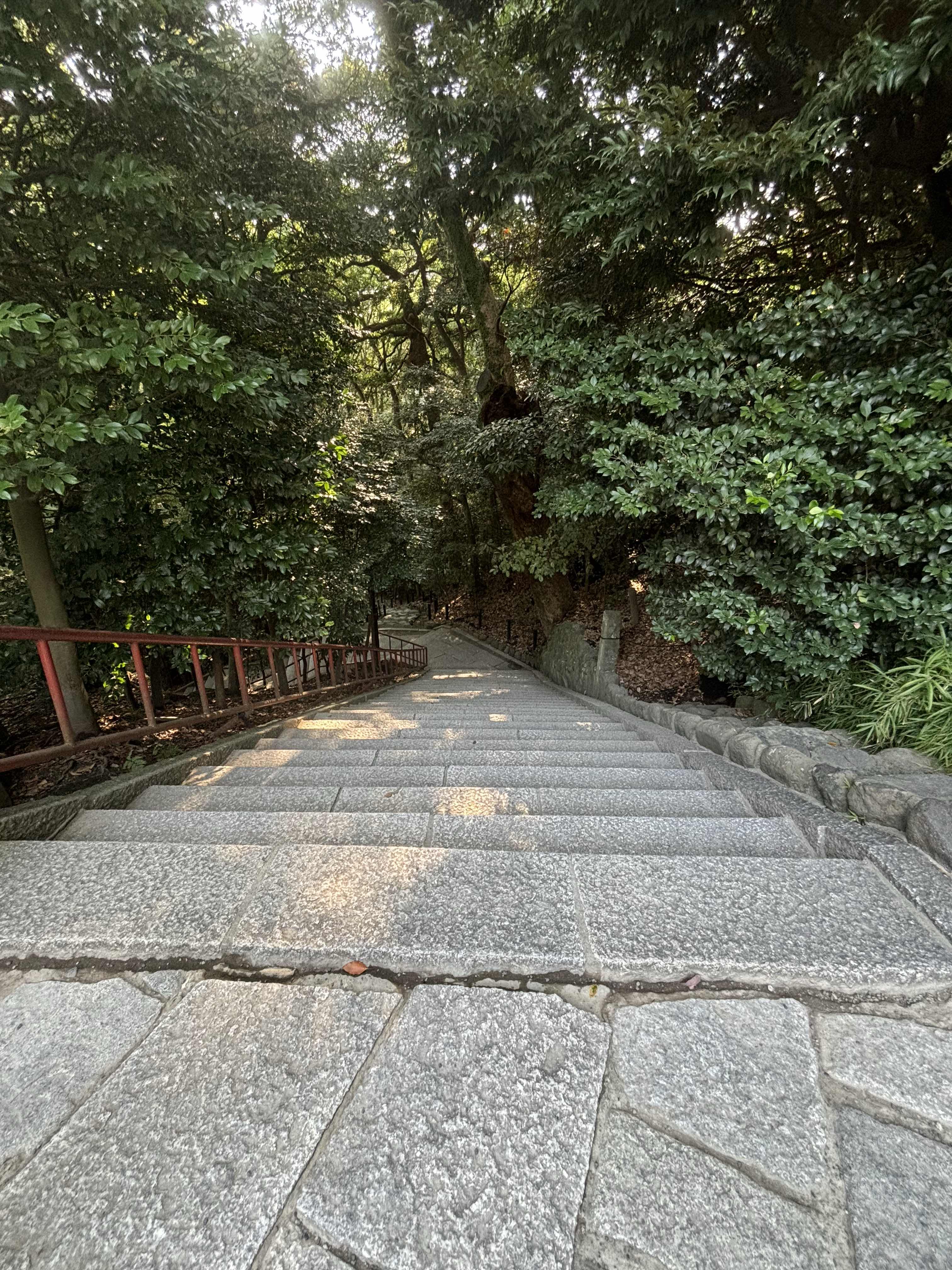 生きることがそんなに偉いか