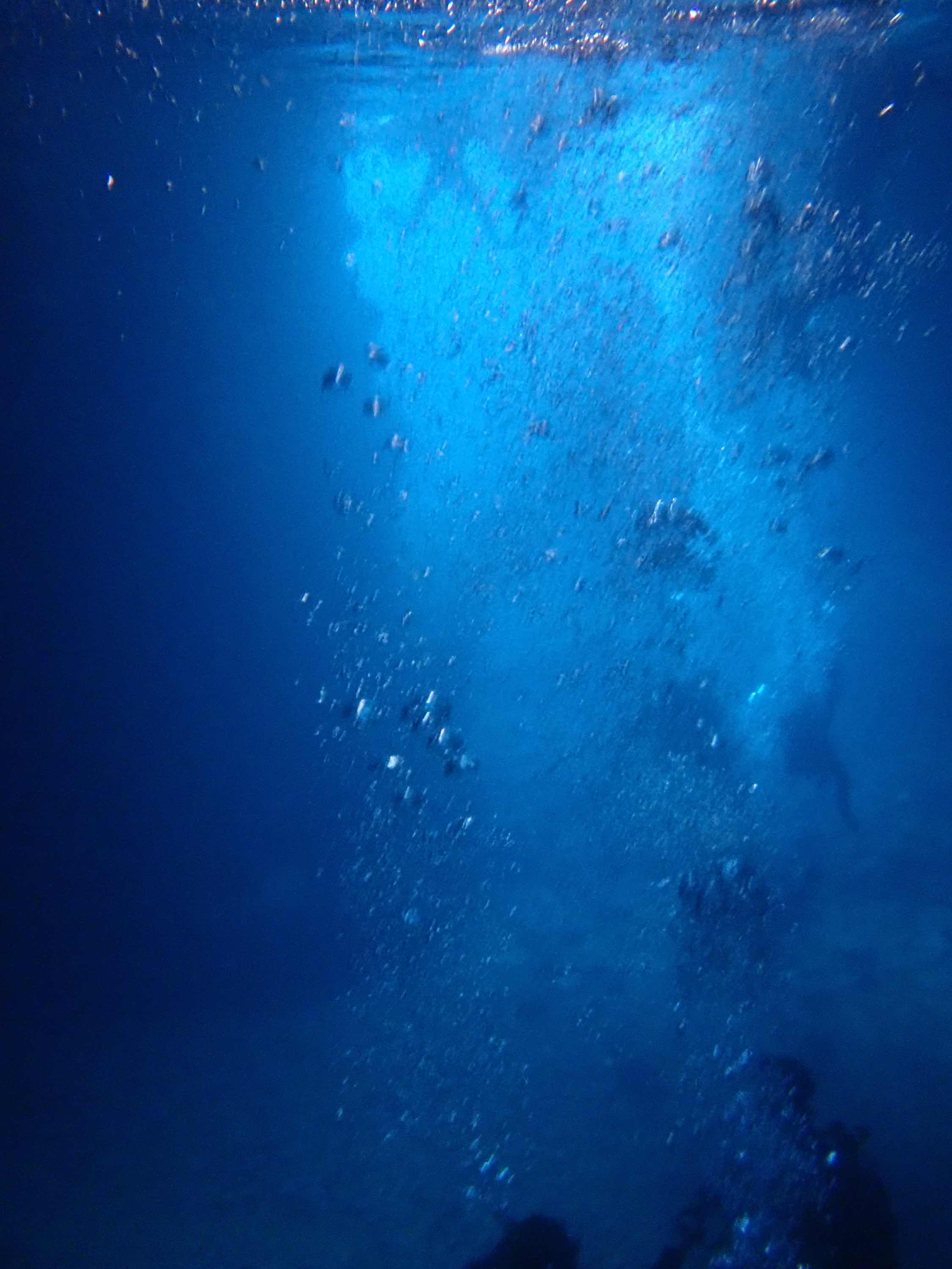 死神の悩みごと〜始まり〜