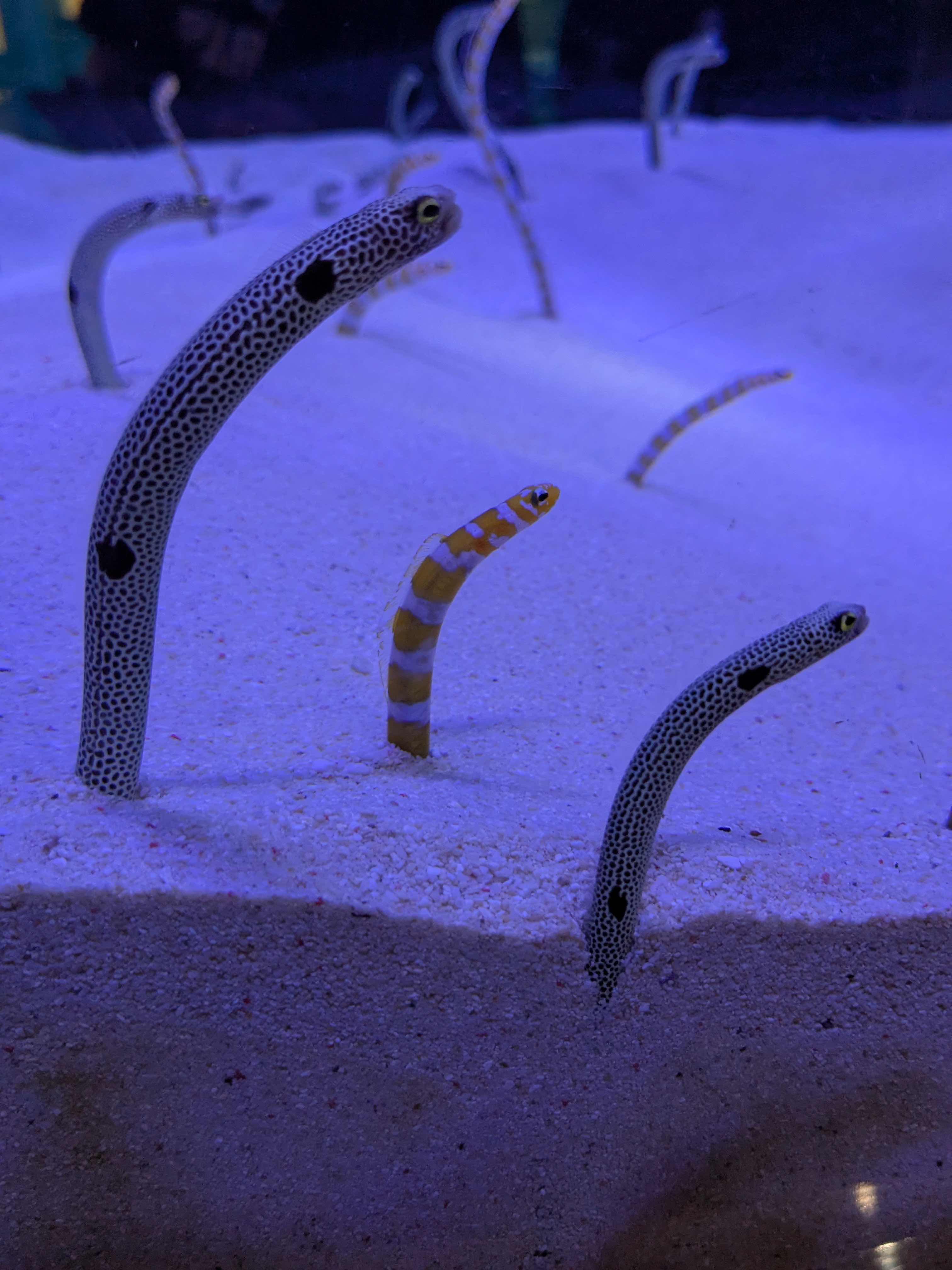 自分語りにしては長すぎる