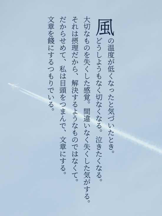 もう戻ってこない気がするから