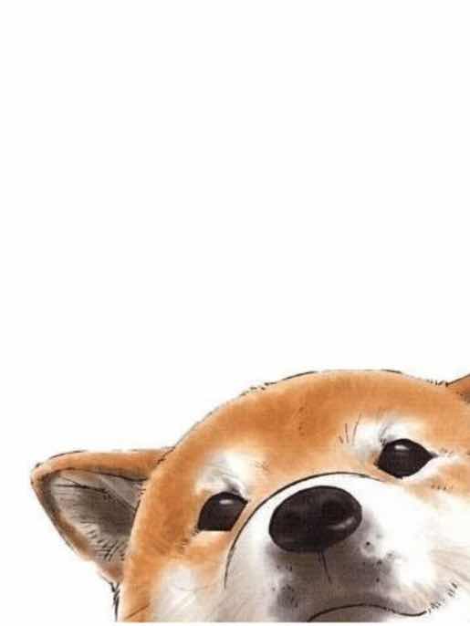 ぼくはいぬ。#2