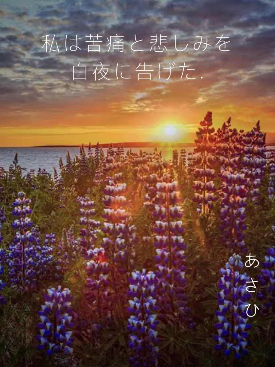 私は苦痛と悲しみを白夜に告げた。