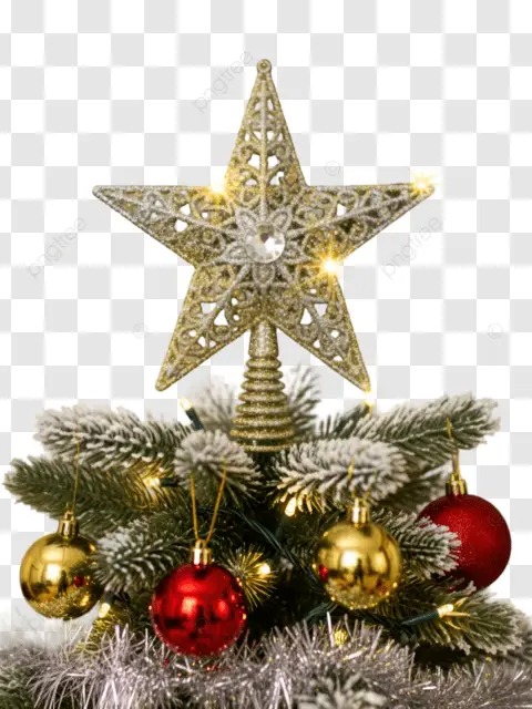 書き留めてよ、真スター