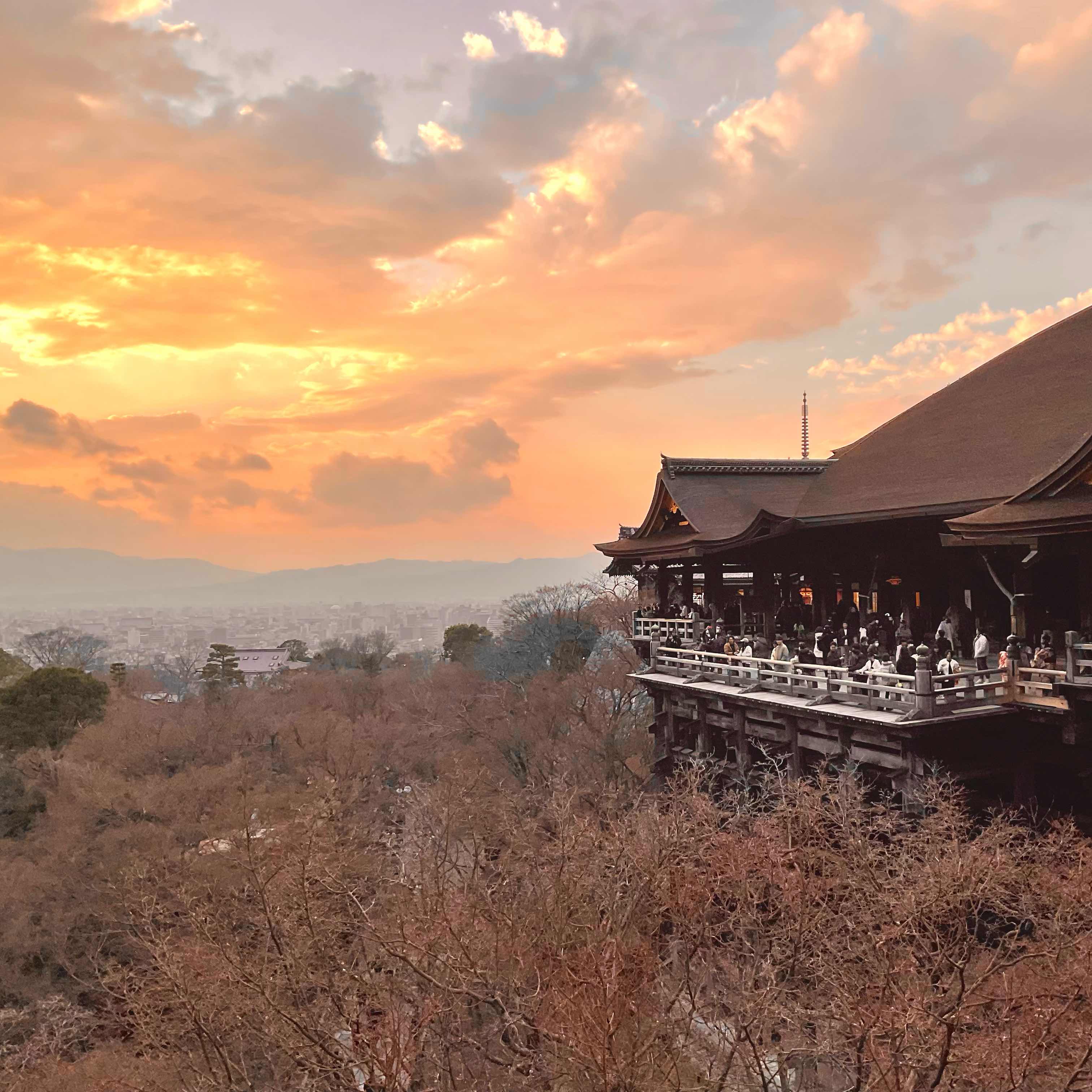 おまっちゃ　(日常お悩み相談所)