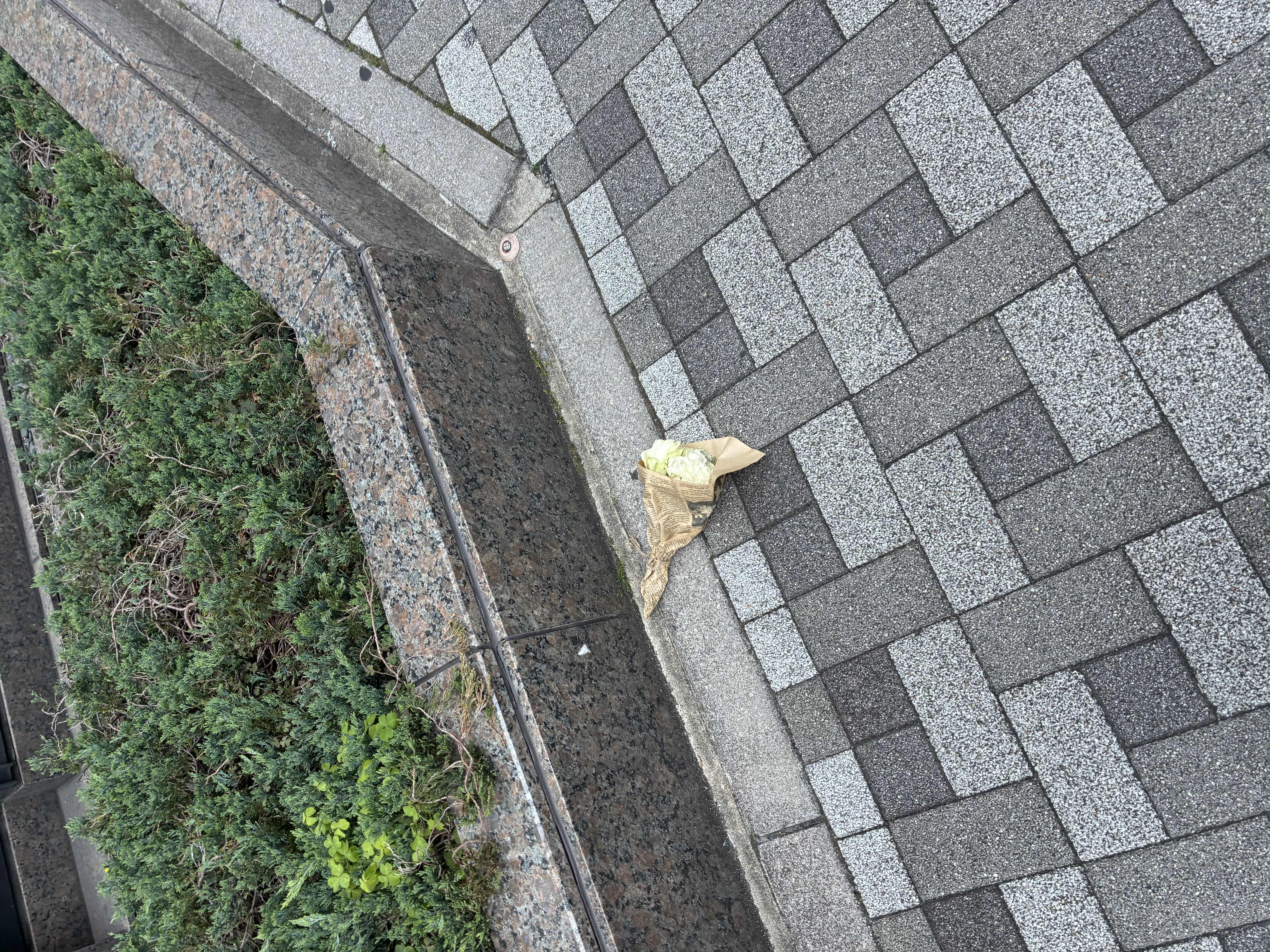 Rの欠けら。