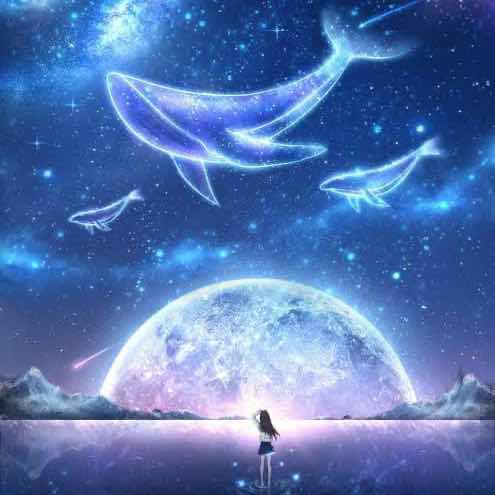 星月こころ ☾🐋