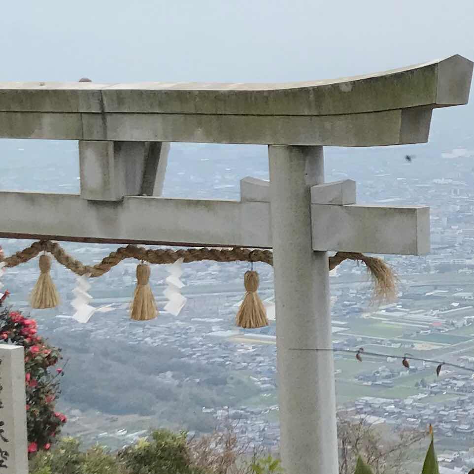 カナリア•マシィ