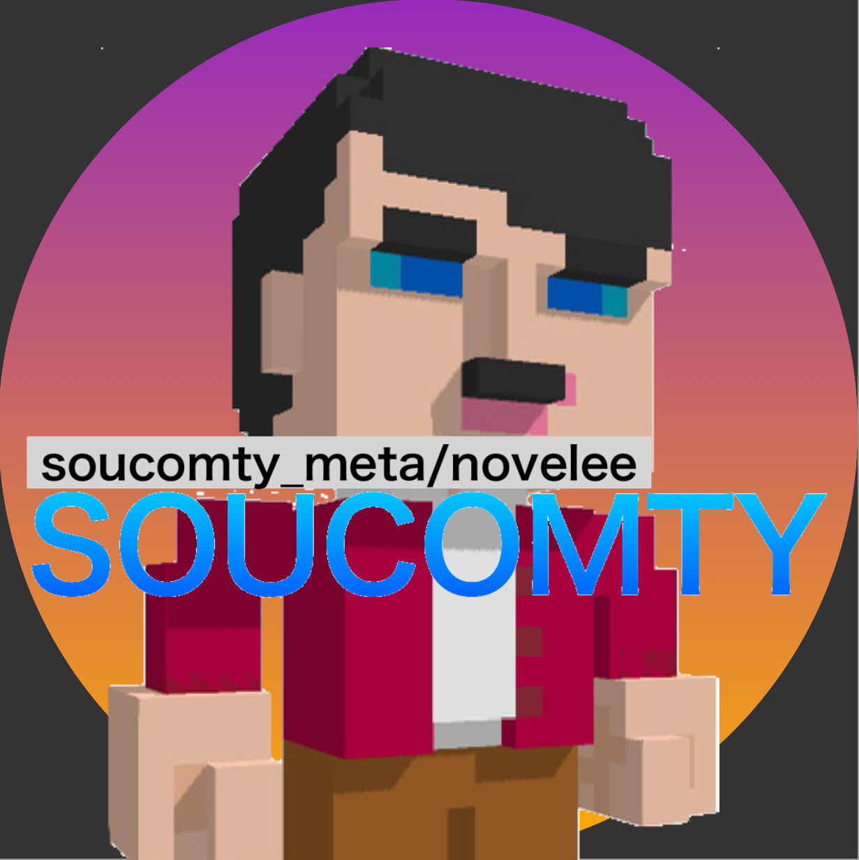 soucomty_novelee  小説垢