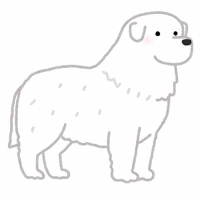 大型わんこ